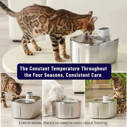 PetPure™ Smart Cat Fountain + Free Fur Brush – Healthy Pets, Happy Life