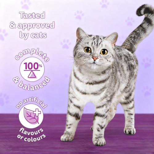 Meaty Selections Dry Cat Food with Real Chicken