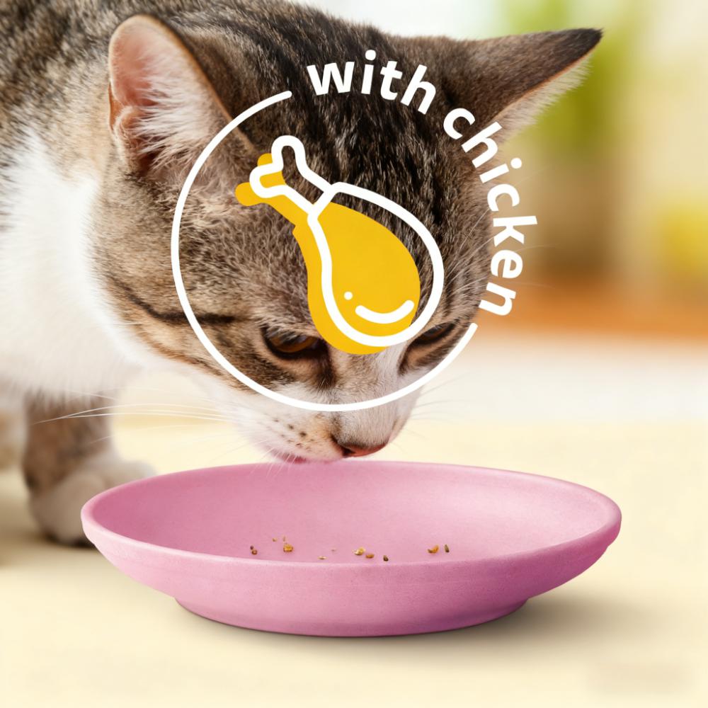 Meaty Selections Dry Cat Food with Real Chicken